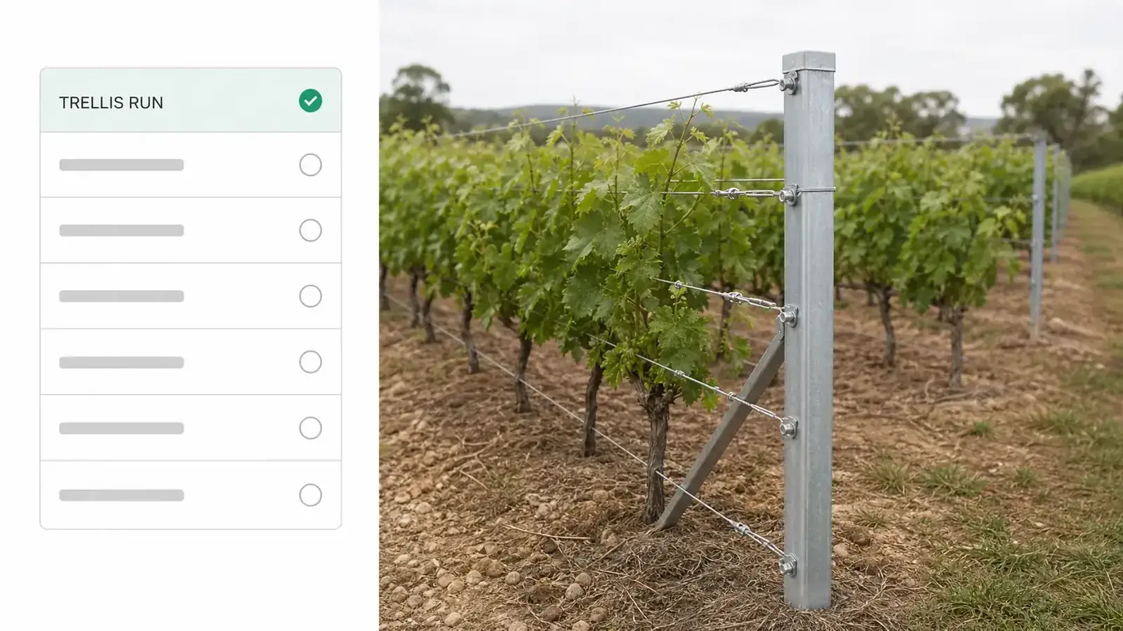 One product line going in first: a vineyard trellis run configured and live while the rest of the catalog waits behind it.